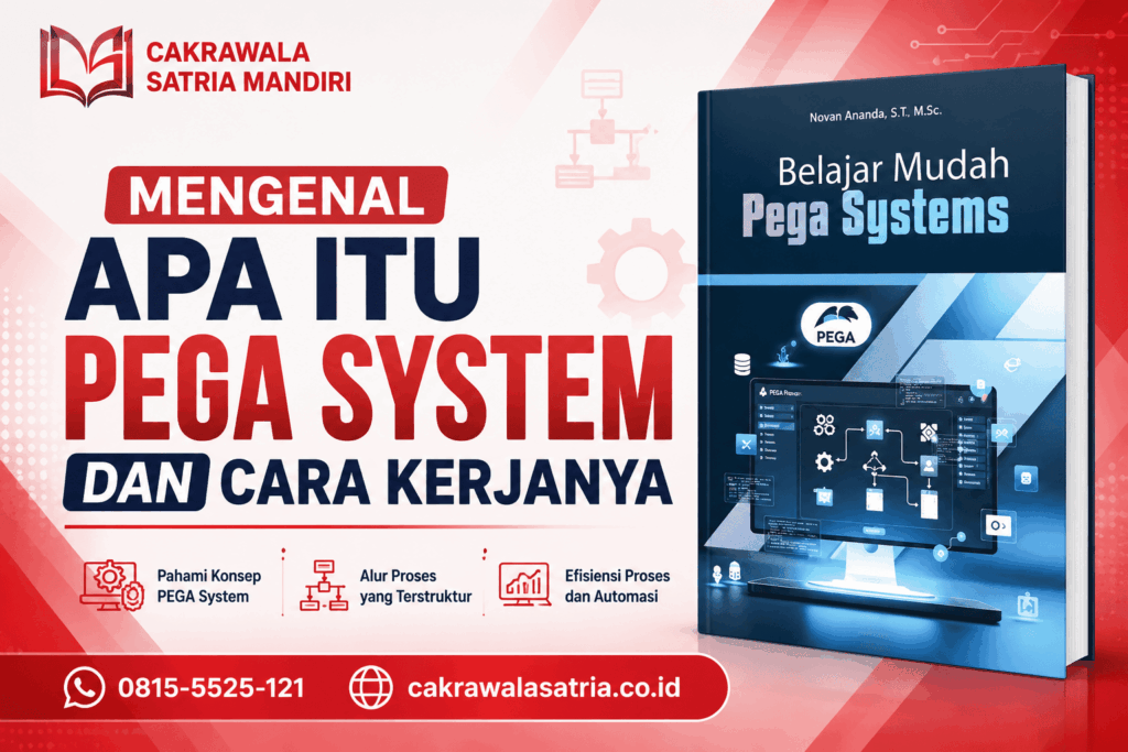 pega system