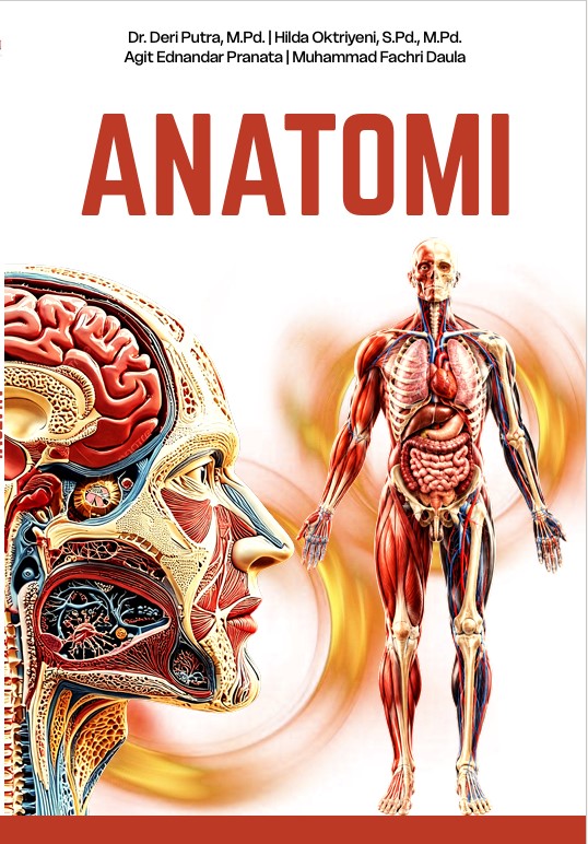 anatomi tubuh manusia